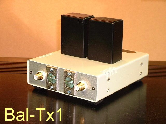 BALTX-2.jpg (47177 bytes)